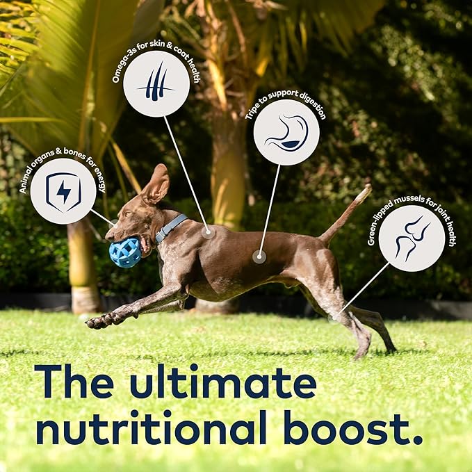 Bundle of ZIWI Peak Air-Dried Dog Food – All Natural High Protein Grain Free and Limited Ingredient with Superfoods (Venison 1.0 lb + Tripe &amp Lamb 1.0 lb)