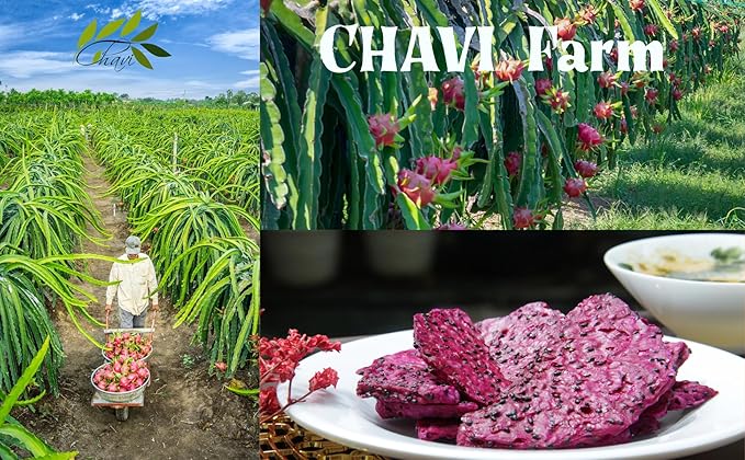 CHAVI Dragon Fruit Chips - Pack of 6 x 2 Oz - Healthy 1 Ingredient Superfood Snack - No Added Sugars or Preservatives - Non-GMO Vegan Gluten-Free (Pack of 6)