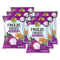 Thappy Fruit Freeze-Dried Mangosteen - No Additives Oil-Free No Sugar Added 100% Pure Mangosteen 0.53oz (Pack of 6)
