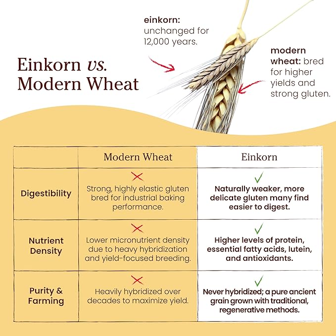 Jovial Organic Einkorn Whole Wheat &amp Unbleached All Purpose Flour - Bread Baking Flour for Sourdough High Protein Non-GMO Organic Pizza &amp Pasta Flour European Italian Flour - 32 Oz 2 Pack