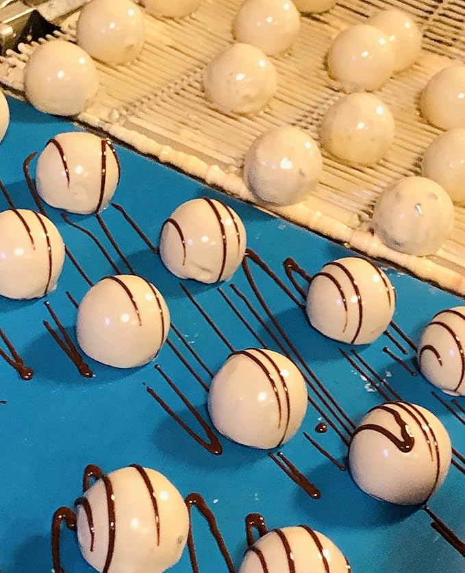 Vegan Plant Based Gluten Free Gourmet Chocolates | Everything Good Truffle Collection (15 Pieces) | Dairy Free Nut Free Peanut Free Soy Free | Allergy Friendly Gifts | By No Whey! Foods