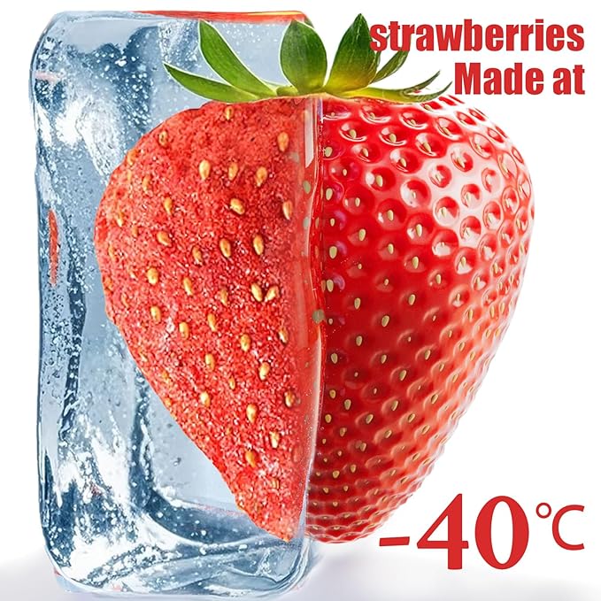16 Oz Freeze-Dried Whole Strawberries and Dried Orange Slices