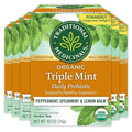 Traditional Medicinals Organic Peppermint Delight Probiotic Tea (Pack of 6) Supports Healthy Digestion 96 Tea Bags Total