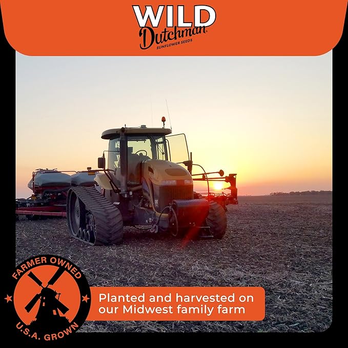Wild Dutchman Roasted Sunflower Seeds in a Resealable Bag for Ultimate Freshness and an Easy Pour 6 Flavor Variety Snack Pack 5.5 oz (Pack of 6)