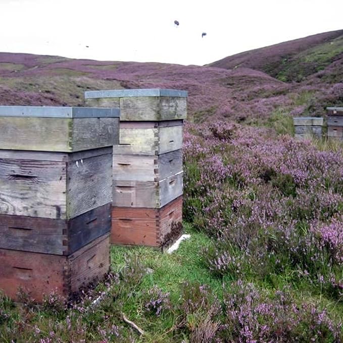 John Mellis Apiaries Scottish Ling Heather Honey 12 Ounce Jar