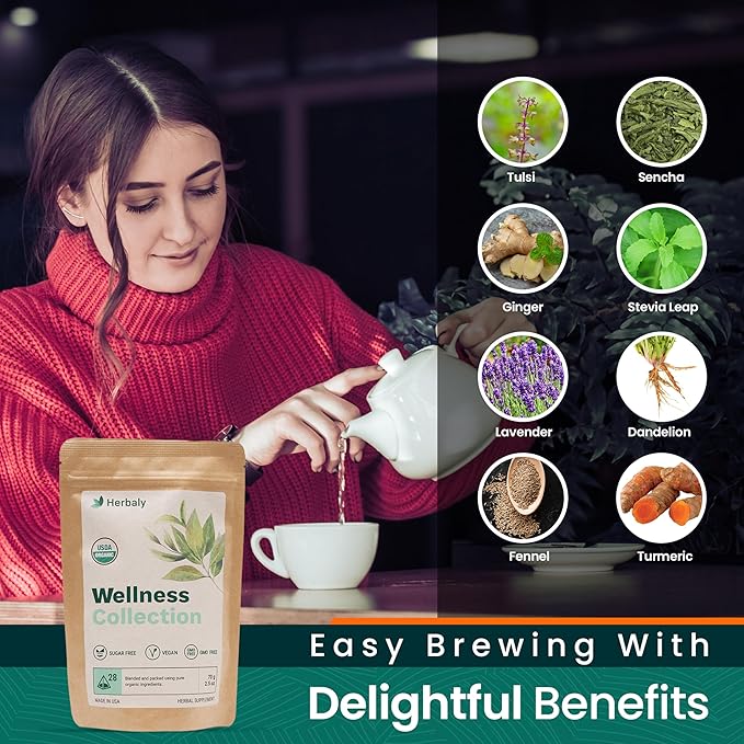 Herbaly Wellness Collection Organic Herbal Ginger Tea 70 g 28 Count Bag (Pack of 1)