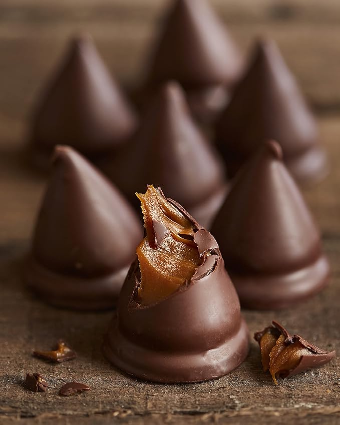 Havanna Havannets – Delicate Dulce de Leche Bites Coated in Smooth Semi-Sweet Chocolate – Authentic Argentinian Treats Perfect for Gifting Sharing or Indulging Anytime Box of 12