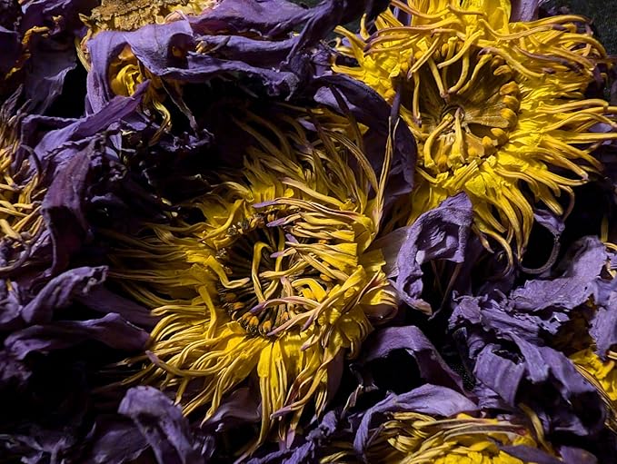 Lotus Flower Tea | Ankhclave's Sesen | 1oz Bag
