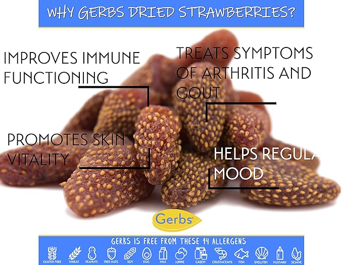 Gerbs Summer Sweet Strawberries 4 lb. | Dehydrated Unsulfured Resealable Bag | Naturally Sweet &amp Tart | Top 14 Allergen-Free
