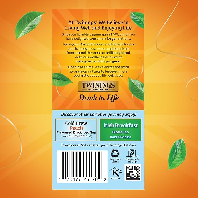 Twinings Mint Green Cold Brew Iced Tea Bags 20 Count (Pack of 6) Unsweetened Flavoured Green Tea Caffeinated 120 Teabags