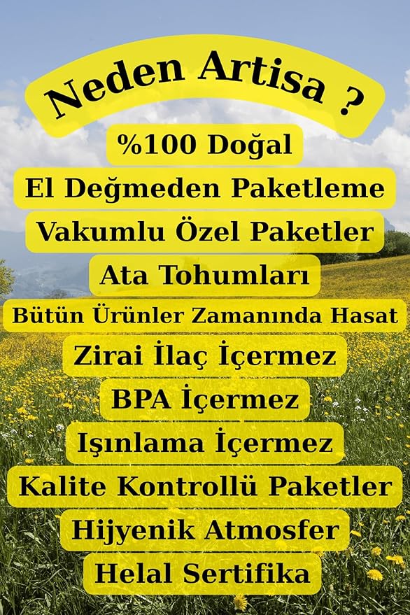 Premium Dried Mulberries 1 kg (2.2 lbs) - Natural Turkish Mulberry - Vacuum Packed - First Quality - No Powder or Broken Pieces