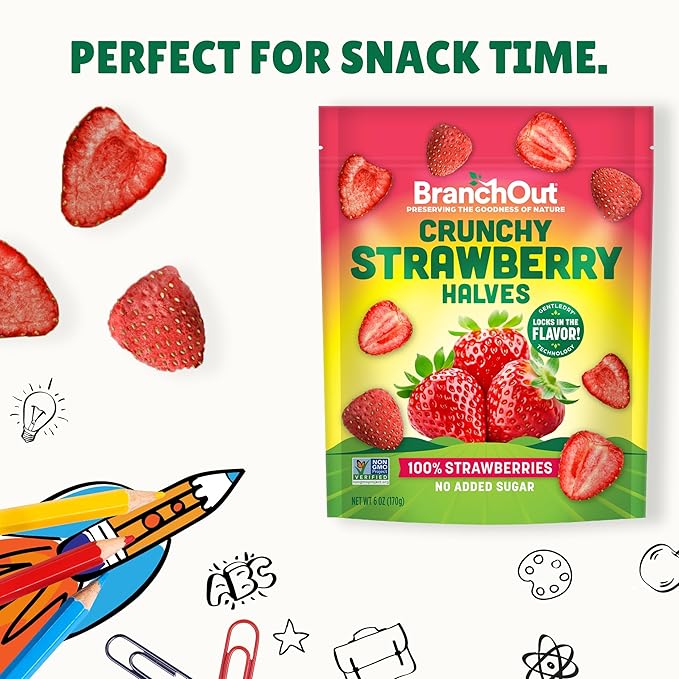 BranchOut Pineapple Chips (7 oz) and Crunchy Strawberry Halves (6 oz) Bundle No Sugar Added GentleDry Better than Freeze Dried Fruit Healthy Vegan Snacks for Kids &amp Adults