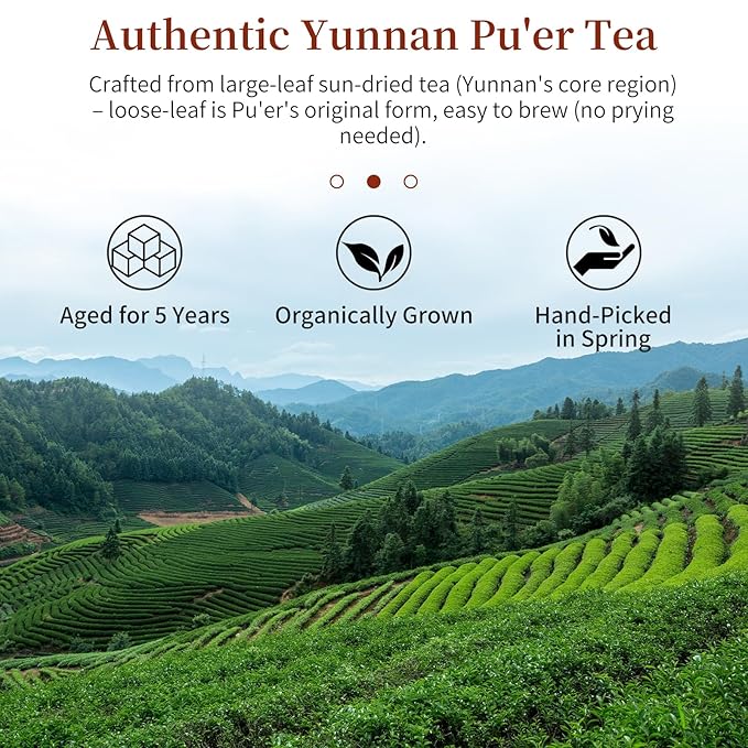 CHADUO Puerh Tea Loose Leaf Aged 5 Years Premium Yunnan Pu erh Ripe Puer Tea 7.05oz/200g Royal-Grade Aged Aroma &amp Jujube Fragrance 普洱茶 普洱散茶 宫廷普洱茶 云南勐海