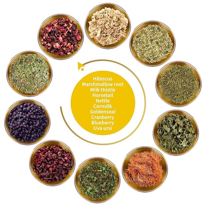 FunctionaliQi Flush Herbal Tea for Urinary Health - Marshmallow Root Milk Thistle Cornsilk and Goldenseal Hibiscus Blend with Nettles Cleansing Herbs and Cranberries (14 tea bags)