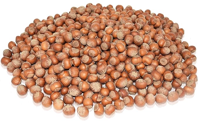 Anna and Sarah Large Oregon Hazelnuts in Shell 5 Lbs