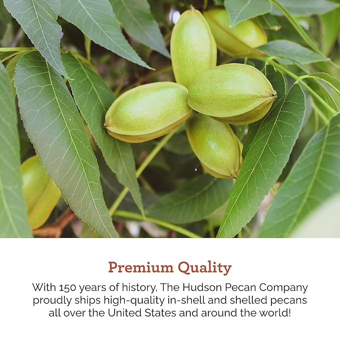 HUDSON PECAN: Georgia Grown Pecans Classic In-Shell. Family-Owned Premium Southern Unshelled Nuts. Slightly Sweet Flavor (Gluten-Free Kosher Keto Snack Salad Topping or Baking Ingredient) 5lb Ba