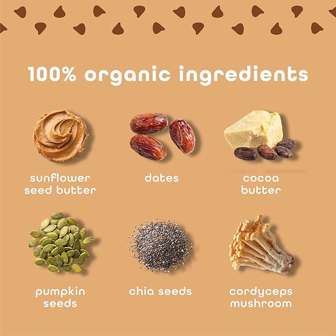 Feel Vegan Protein Bars Balance Cordyceps 15g Protein Adaptogenic Snack Organic Low Carb Gluten Free Dairy Nut Grain Soy Free Cookie Dough 10 Pack