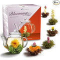 Creano Blooming Tea Gift Set with Glass Pot 17oz/500ml with 6 Flowering-Tea each 3pcs White &amp Black Tea
