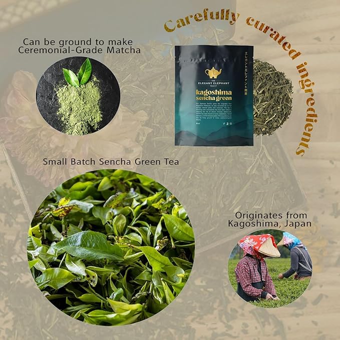 Japanese Sencha Green Tea Organic Loose Leaf Sencha Tea – Antioxidant &amp Detox Support – Refreshing Hot or Iced Green Tea – 4 oz Resealable Bag (Makes 50 Cups) – The Elegant Elephant