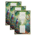 Cacaoteca 32% White Chocolate 3 Pack - Dominican Chocolate - Bean-to-Bar Direct Sourced - Gluten-Free - Bundle