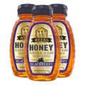 Group WHF Blackberry Honey - Weeks pure raw &amp unfiltered American blackberry honey is kosher certified and gluten-free - since 1960 (16 oz 3 Pack)