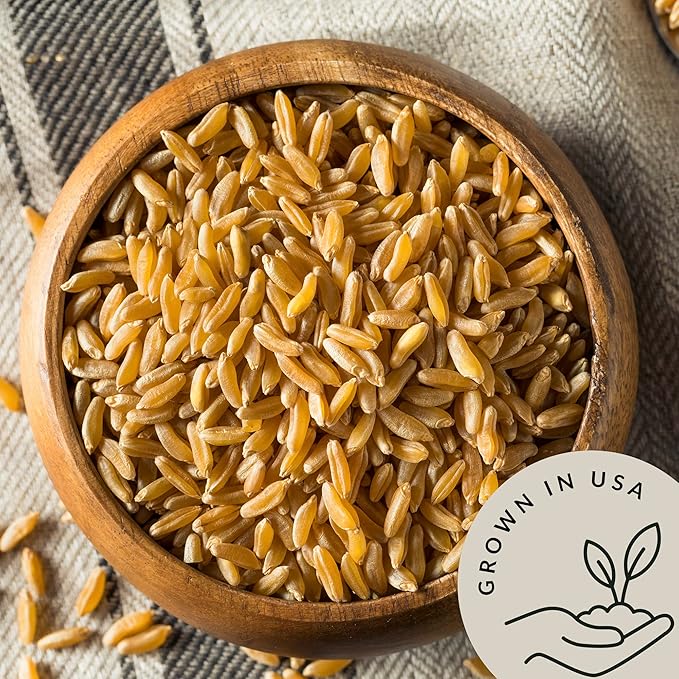Be Still Farms Organic Kamut Wheat Berries Khorasan (4.8lb) - Ancient Whole Grain Bulk - Ideal for Flour Pasta Salads Soups - High in Fiber &amp Protein | USA Grown | USDA Certified | Vegan | Non-