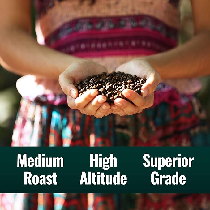 Natural Force - Organic Clean Coffee Classic Mold &amp Mycotoxin Free Lab Tested for Toxins &amp Purity Low Acidity Incredible Taste &amp Aroma Ground Medium Roast 10 oz