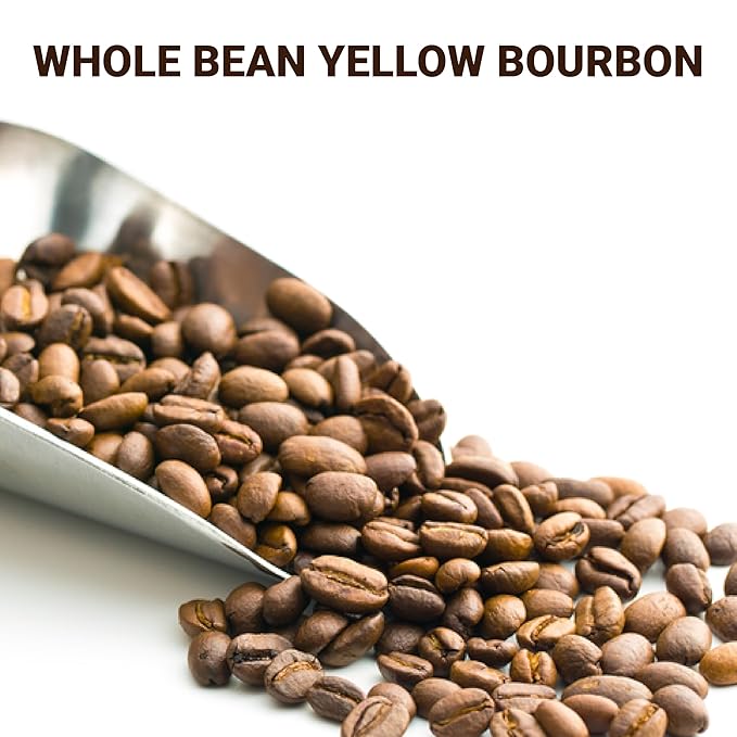 doanhdang - 17.6 Oz Premium Yellow Bourbon Whole Bean Coffee 100% Medium Roast Rich Flavor for Espresso Shot and Brew Origin from Vietnam Whole Med Roast Beans