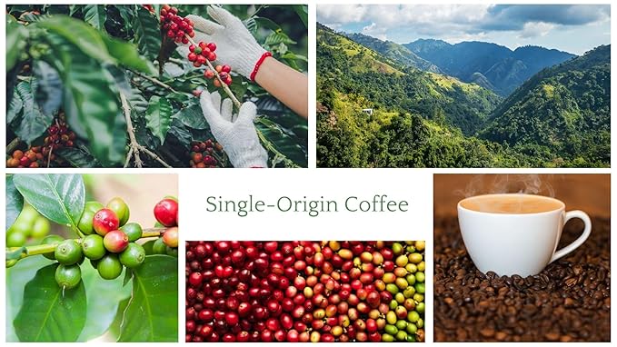 Sattva Coffee Ember Whole Bean Medium Roast - Low Acid 100% Arabica Single Origin with Fruity Mellow Chocolate &amp Berry Notes - 12 oz