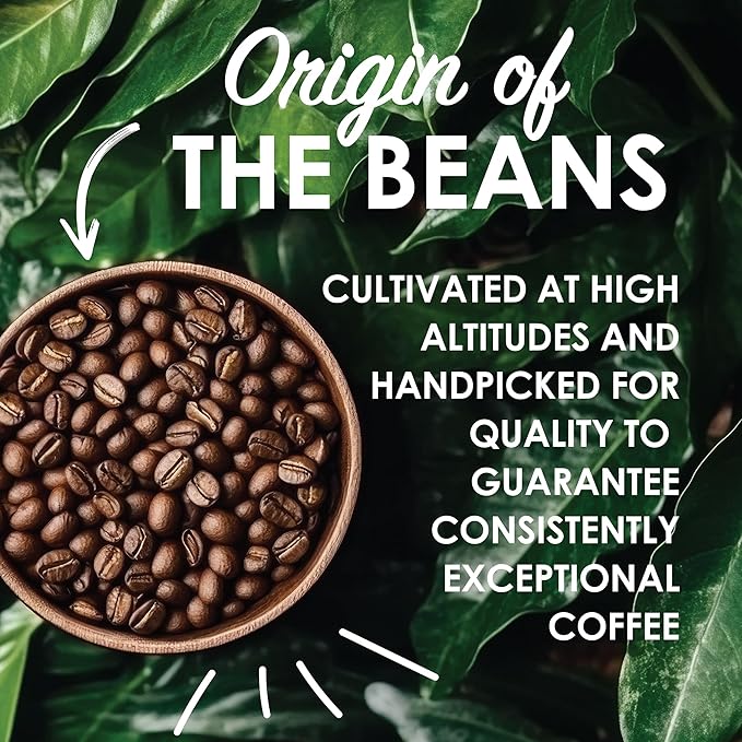Magnum Exotics Organic Mexican Coffee - Medium Roast Whole Bean Low Acid USDA Certified Organic - 2 lb (32 oz)