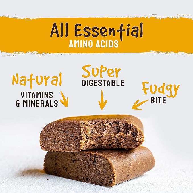 BodyMe Organic Vegan Protein Bar | Raw Maca Cinnamon | Box of 12 x 2.12oz (60g) | with 3 Plant Proteins