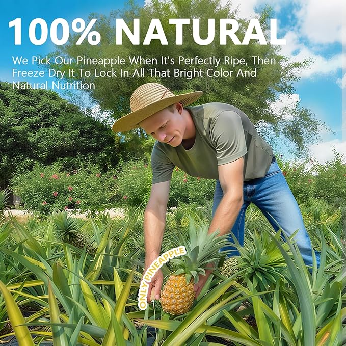 QZLGD Freeze Dried Pineapple Freeze Dried Fruit frozen Pineapple Pieces 9.52oz/270g No Added Sugar for Baking or Adding to Breakfast Cereal Milkshakes