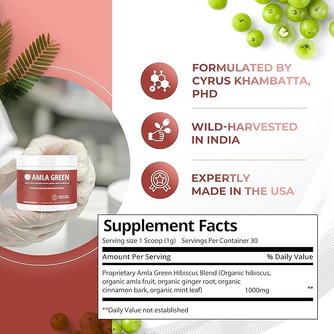 Amla Powder &amp Green Tea Superfood Supplement with Hibiscus 20x Ultra Concentrated Amla Antioxidant Support Made with Oolong Tea and Indian Gooseberries Organic Vegan Hibiscus 90 Servings