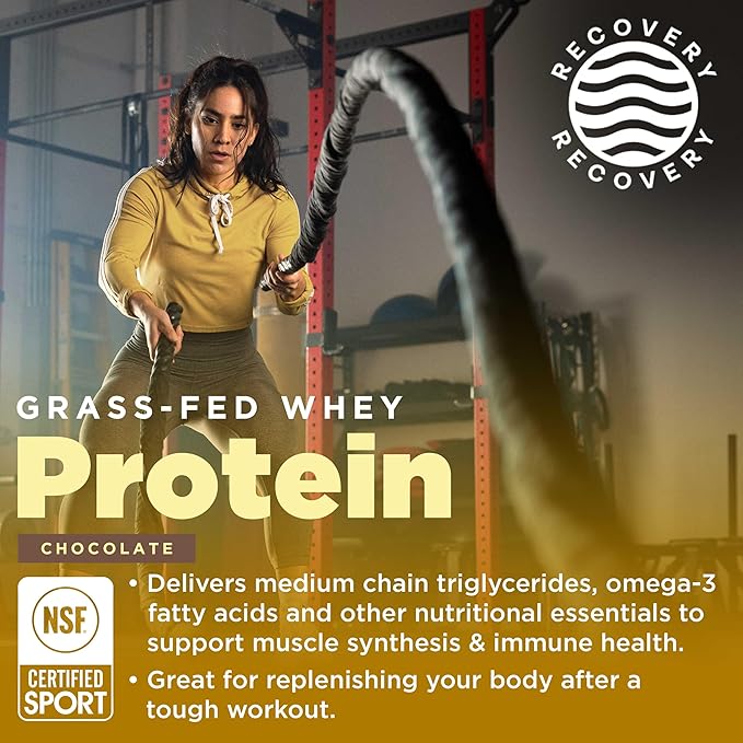 Gnarly Nutrition Gnarly Whey Grass-Fed Protein Supplement Chocolate (32.0oz) BCAAs Fruit Punch (10.58oz)