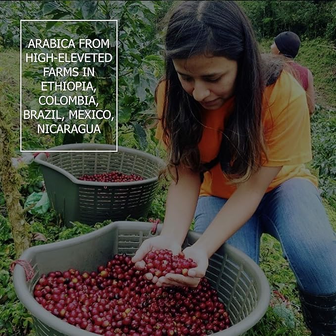 Coperaco Alis delicate and complex drip coffee Retail Freshly Whole Coffee Beans Medium-Dark Roast 1Kg