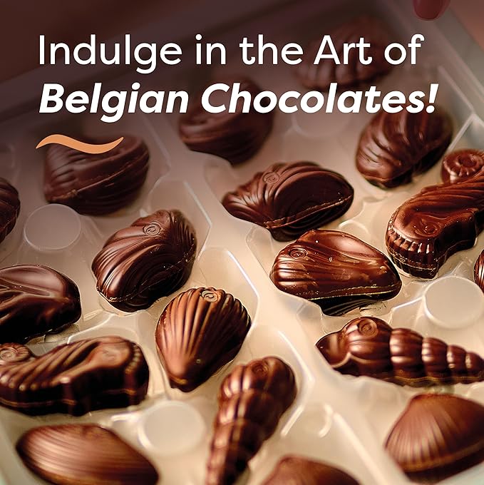 Easter Dark Chocolate Candy Seashells Gift Box by GuyLian 7.94 oz 20 pc (Pack of 2) Belgian Dark Praliné 72% Cocoa Easter Basket Stuffers for Adults Gifts for Kids