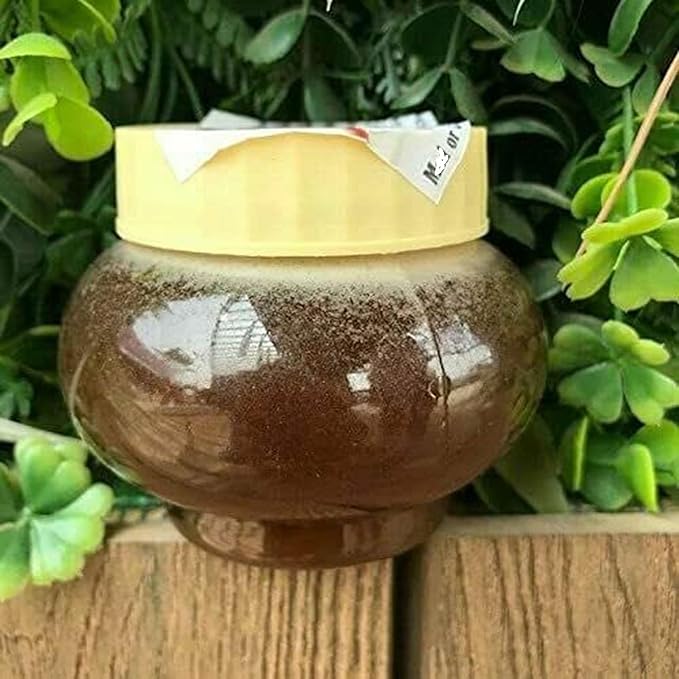 Wild Himalayan Cliff Honey Red Honey 200g from Lamjung Nepal Harvested by Indigenous Tribes Wildflower Nectar