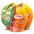 Dried Tree-Ripened Mango 21.15 Oz - Pack of 3 - Premium Dried Mango Strips Unsweetened Non-GMO Vegan Gluten Free Sugar-Free Fruit Slices by Amazin Choices. Snack Viet Mangoes Slices