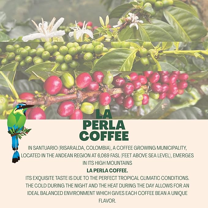 La Perla Colombian Single Origin Specialty Coffee Medium Roast Premium Whole Bean 16oz – Caramel &amp Chocolate Notes – Fresh Gourmet Arabica
