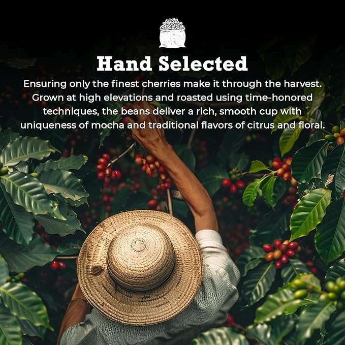 Guzzling Goat Ethiopian Coffee Beans | Premium Medium Roast Coffee Whole Bean | Strong Flavorful Brew | Sourced &amp Roasted in Ethiopia