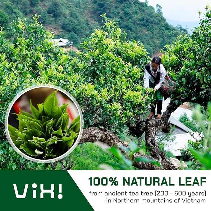 VIXI Black Tea Loose Leaf (16.00 Oz) Vietnam's Mountain Tea Bold Flavored Taste Like Assam Dried Whole Full Large Leaves Sugar Free 100% Natural from Ancient Tea Tree