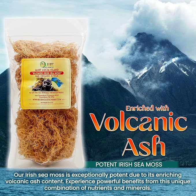 Golden Irish Sea Moss | Wildcrafted from St. Lucia | 16oz Makes ~240+ oz Sea Moss Gel | 100% Natural Raw &amp Sun-Dried | Dr. Sebi Inspired Nutrient-Rich Irish Moss for Health &amp Wellness