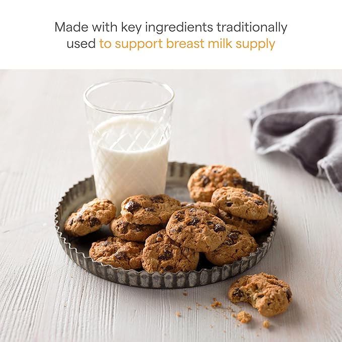 Munchkin Milkmakers Lactation Cookie Bites Oatmeal Chocolate Chip 10 Ct