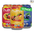 Humm Probiotic Kombucha The Original Variety 12 Pack Organic 2 Billion Probiotics for Gut Health Mango Passionfruit Blueberry Mint and Strawberry Lemonade