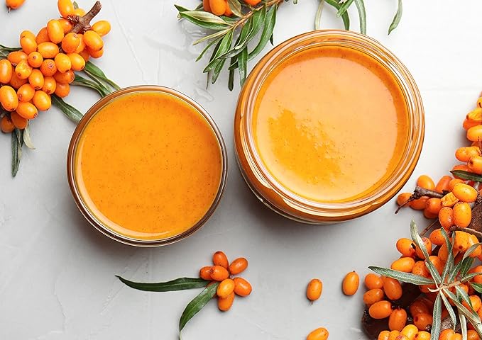 Food to Live Sea Buckthorn Juice Powder 1.5 Pounds - Made from Raw Dried Berries Unsulfured Vegan Bulk Great for Baking Juices Smoothies Yogurts and Instant Breakfast Drinks No Sulphites