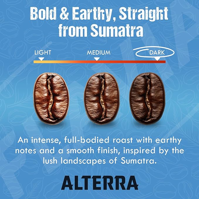 FLAVIA ALTERRA COFFEE Sumatra Dark Roast 20-Count Freshpacks (Pack of 1)