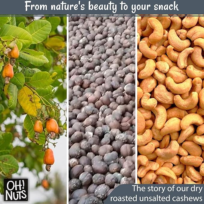 Oh! Nuts Cashews Raw Individual Nut Snacks for On-the-Go - 12 Convenient Nut Snacks for School - Bulk Nuts Variety - Individual Packs (1.5 oz Each)