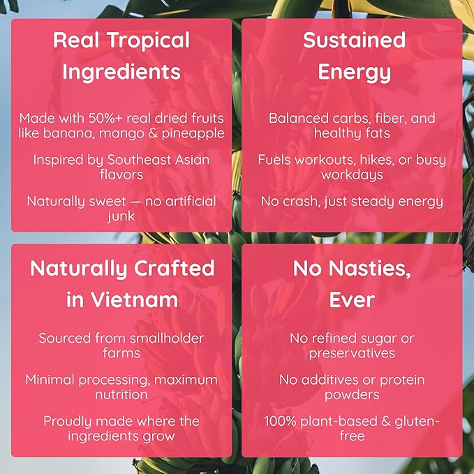 Lecka Energy Bar 12 Bars | Natural Energy from Tropical Fruits Vegan Gluten Free (12 Bars Pineapple Banana)