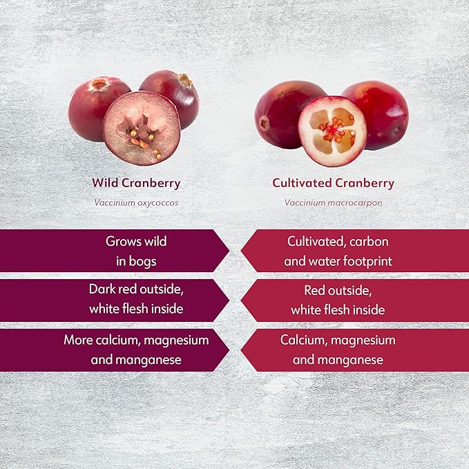 Organic Freeze-Dried Cranberry Powder – Pure 100% Natural Wild Whole Fruit Certified Organic from Nordic Forests – Non-GMO No Added Sugar – 6oz (35 Servings)