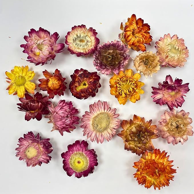 Dried Edible Flowers &amp Freeze-Dried Strawberry Slices Bundle | Natural Decorative Garnishes | No Added Sugar | Perfect for Cocktails Desserts &amp Baking